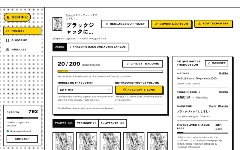 La page du projet : progression, modèle de traduction, ce que le traducteur sait et les pages